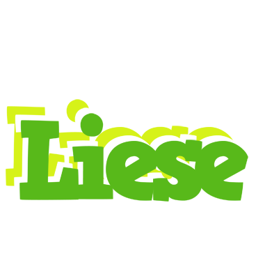 Liese picnic logo