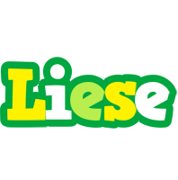Liese soccer logo