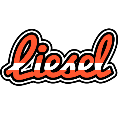 Liesel denmark logo
