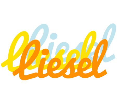Liesel energy logo