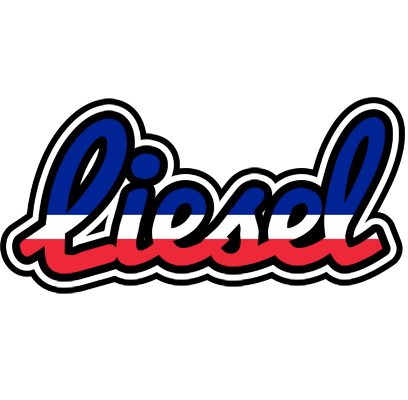 Liesel france logo