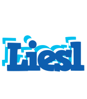 Liesl business logo