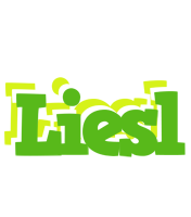 Liesl picnic logo