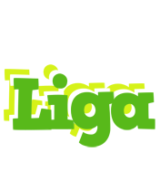 Liga picnic logo