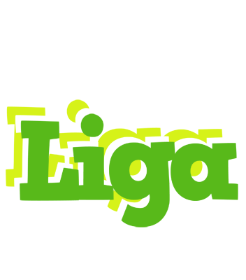 Liga picnic logo