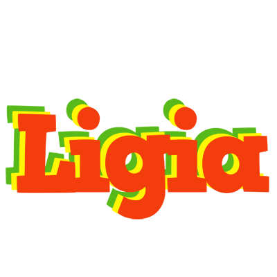 Ligia bbq logo