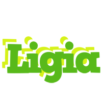 Ligia picnic logo
