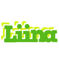 Liina picnic logo
