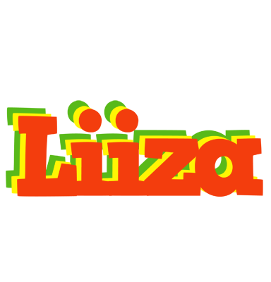 Liiza bbq logo