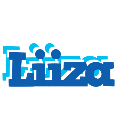 Liiza business logo