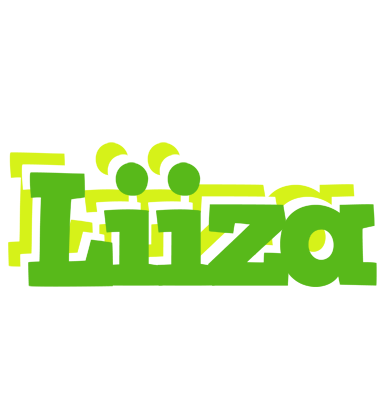 Liiza picnic logo