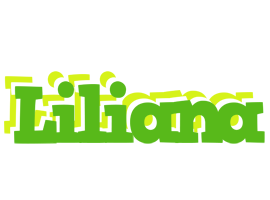 Liliana picnic logo