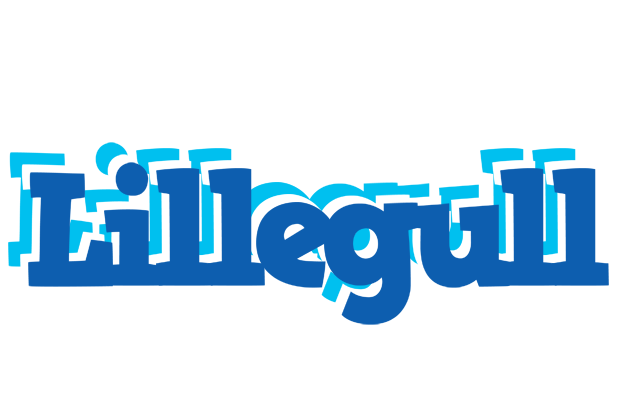 Lillegull business logo