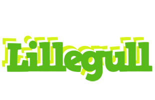 Lillegull picnic logo