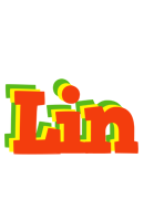 Lin bbq logo