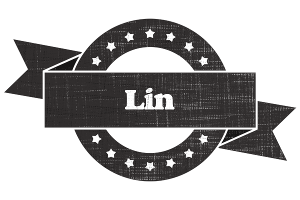 Lin grunge logo
