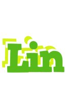 Lin picnic logo