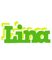 Lina picnic logo