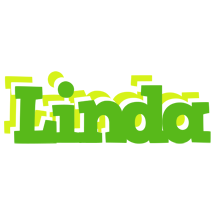 Linda picnic logo