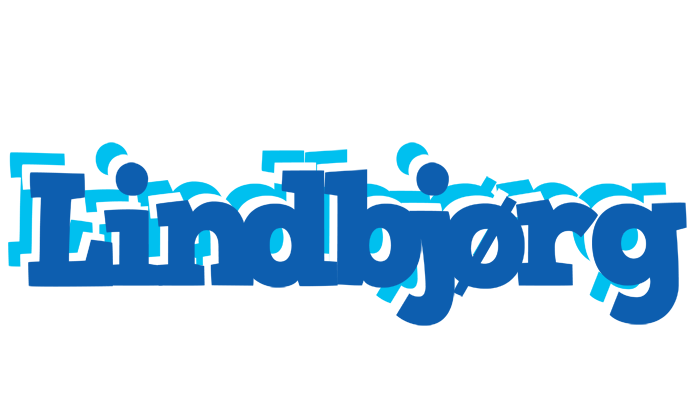 Lindbjørg business logo