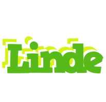 Linde picnic logo