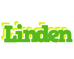 Linden picnic logo