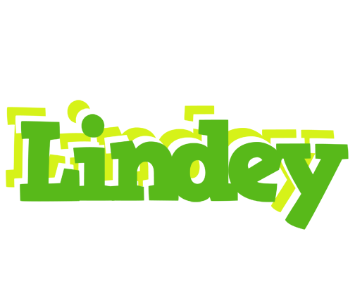 Lindey picnic logo