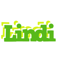 Lindi picnic logo