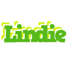 Lindie picnic logo