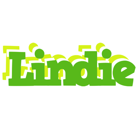 Lindie picnic logo