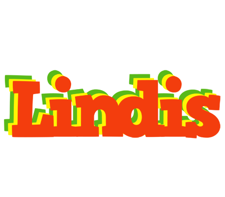Lindis bbq logo