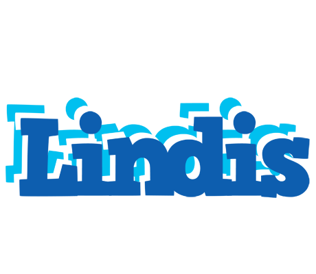 Lindis business logo