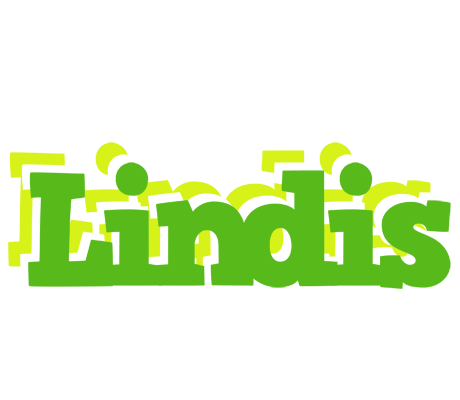 Lindis picnic logo