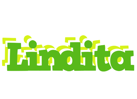 Lindita picnic logo