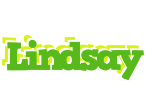 Lindsay picnic logo