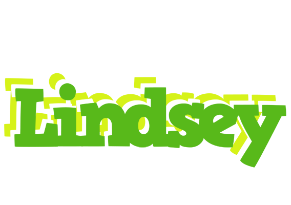Lindsey picnic logo