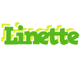 Linette picnic logo