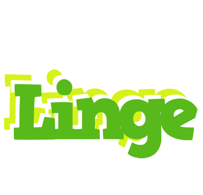 Linge picnic logo