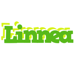 Linnea picnic logo