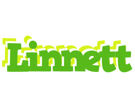 Linnett picnic logo