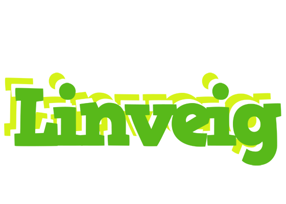 Linveig picnic logo