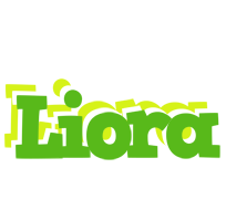 Liora picnic logo