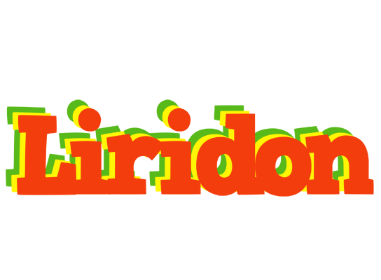 Liridon bbq logo