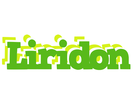 Liridon picnic logo