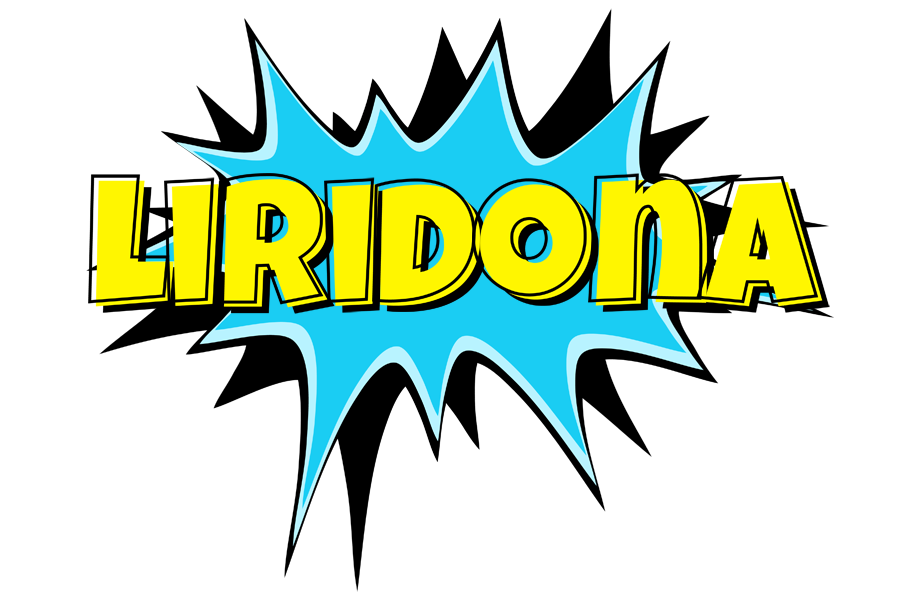 Liridona amazing logo