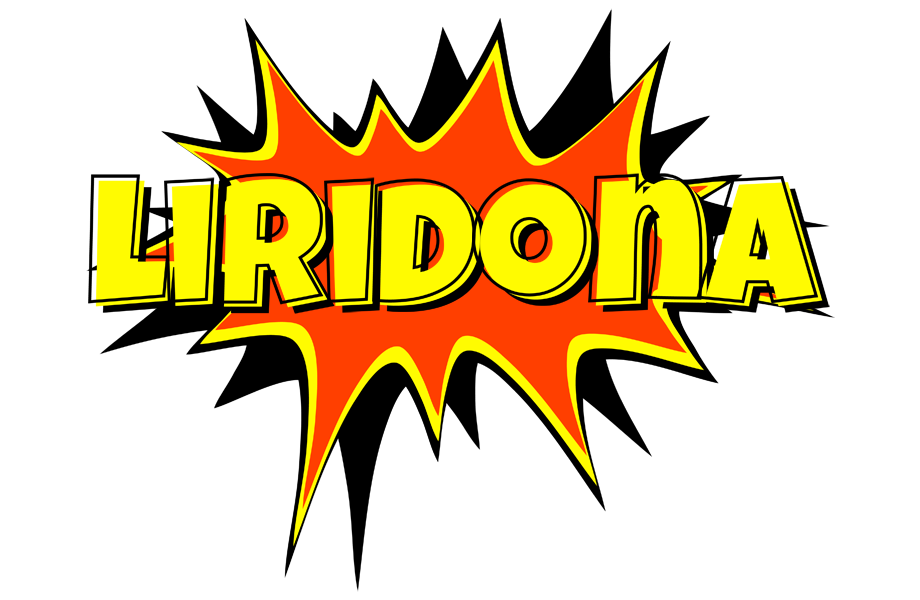 Liridona bazinga logo