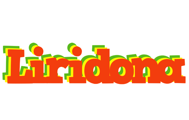 Liridona bbq logo