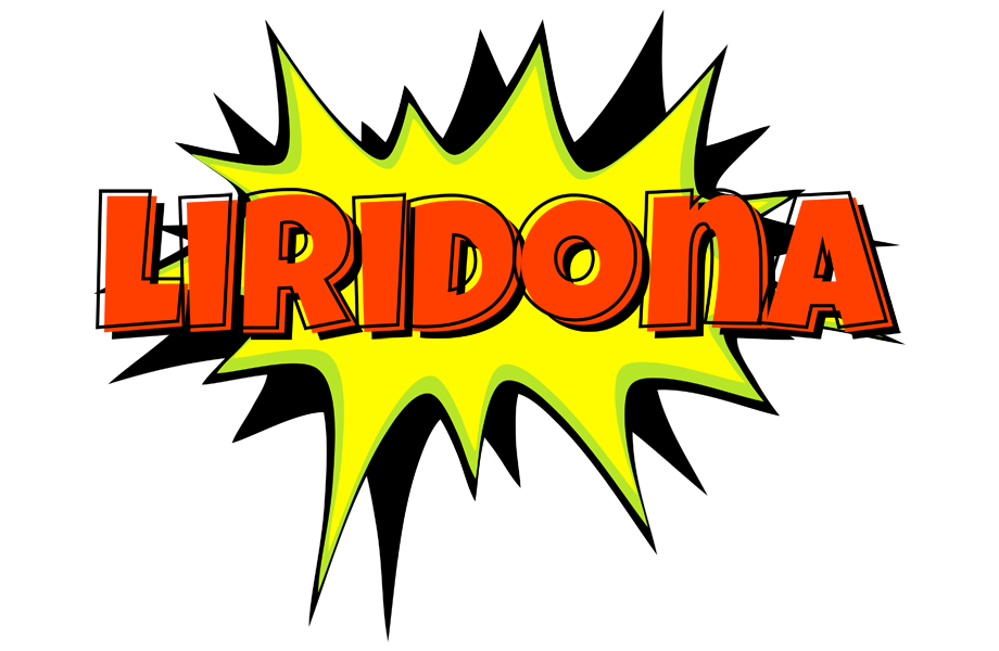 Liridona bigfoot logo