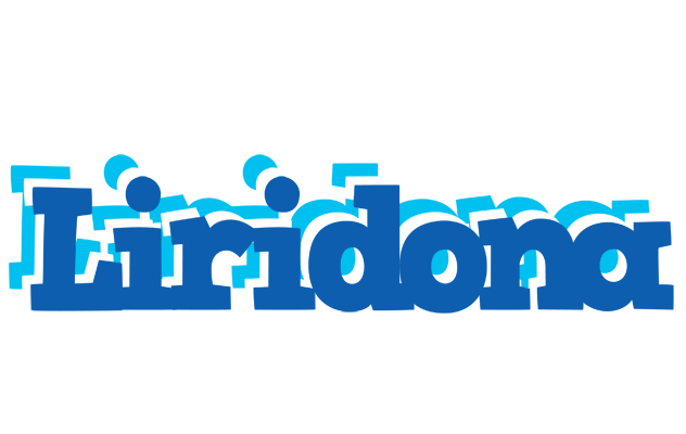 Liridona business logo