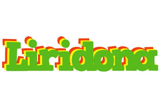 Liridona crocodile logo